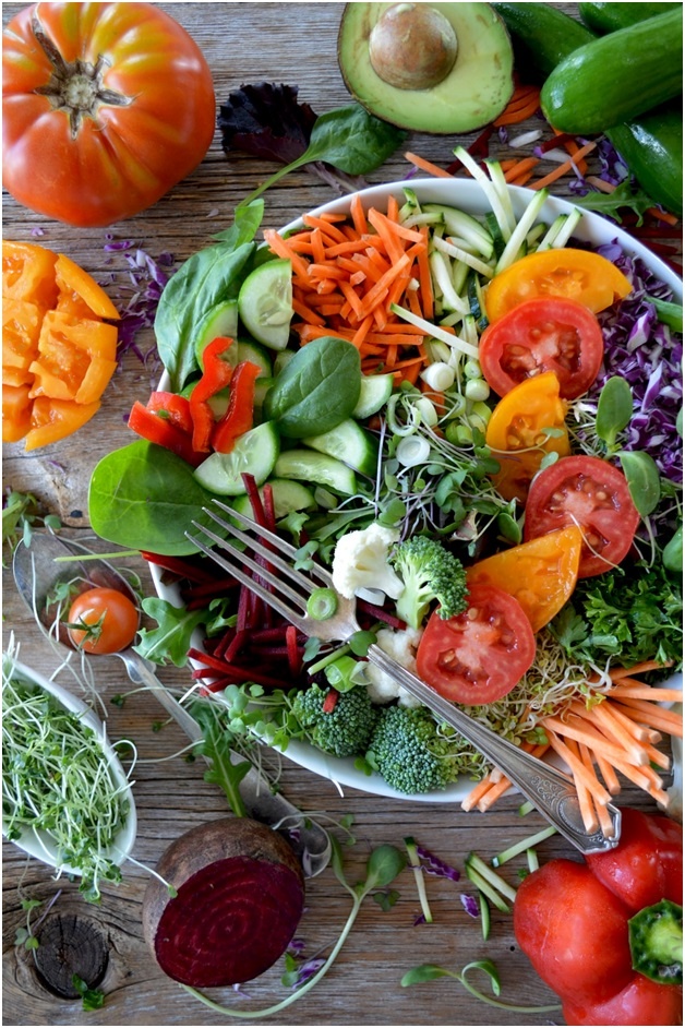 What does sattvik diet include