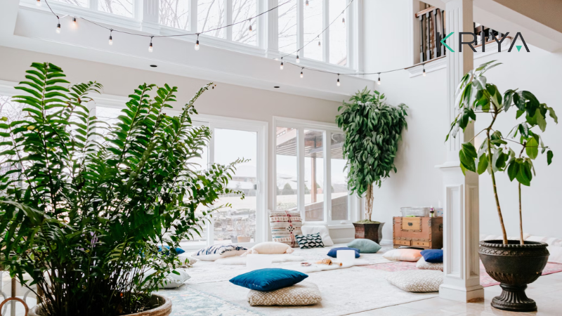 Yoga Studio D—cor Ideas and Tips